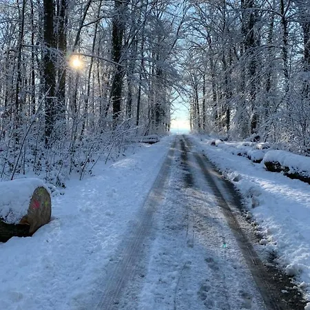 Gospodarstwo wiejskie Le Nid De Cigognes *