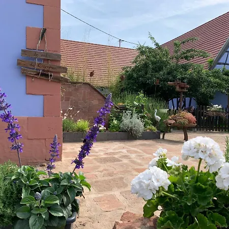 Le Nid De Cigognes * Menchhoffen