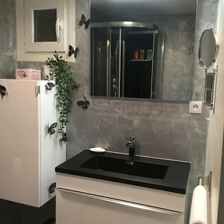 Le Nid De Cigognes Menchhoffen