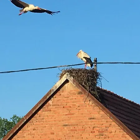 Le Nid De Cigognes Gospodarstwo wiejskie Menchhoffen