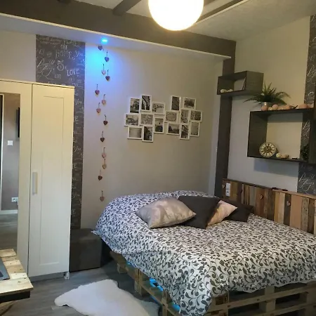 Le Nid De Cigognes Menchhoffen