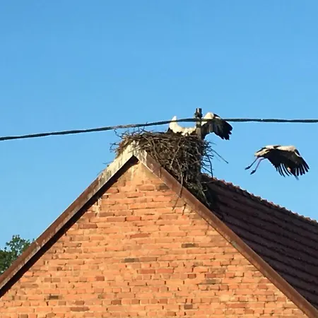 Le Nid De Cigognes Gospodarstwo wiejskie *
