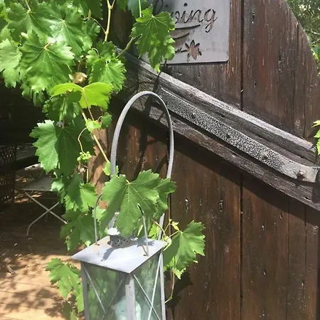 Le Nid De Cigognes Gospodarstwo wiejskie Menchhoffen